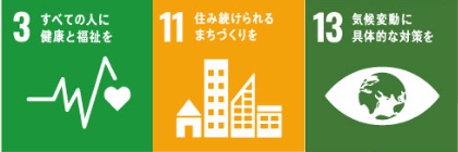 SDG's 3,11,13